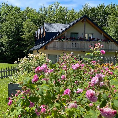 Loft Naturalpina Dolomiti Farm Belluno Exterior foto
