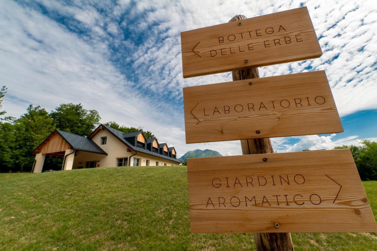 Loft Naturalpina Dolomiti Farm Belluno Exterior foto